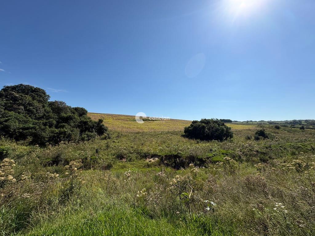 Área Rural à venda no Rural: 