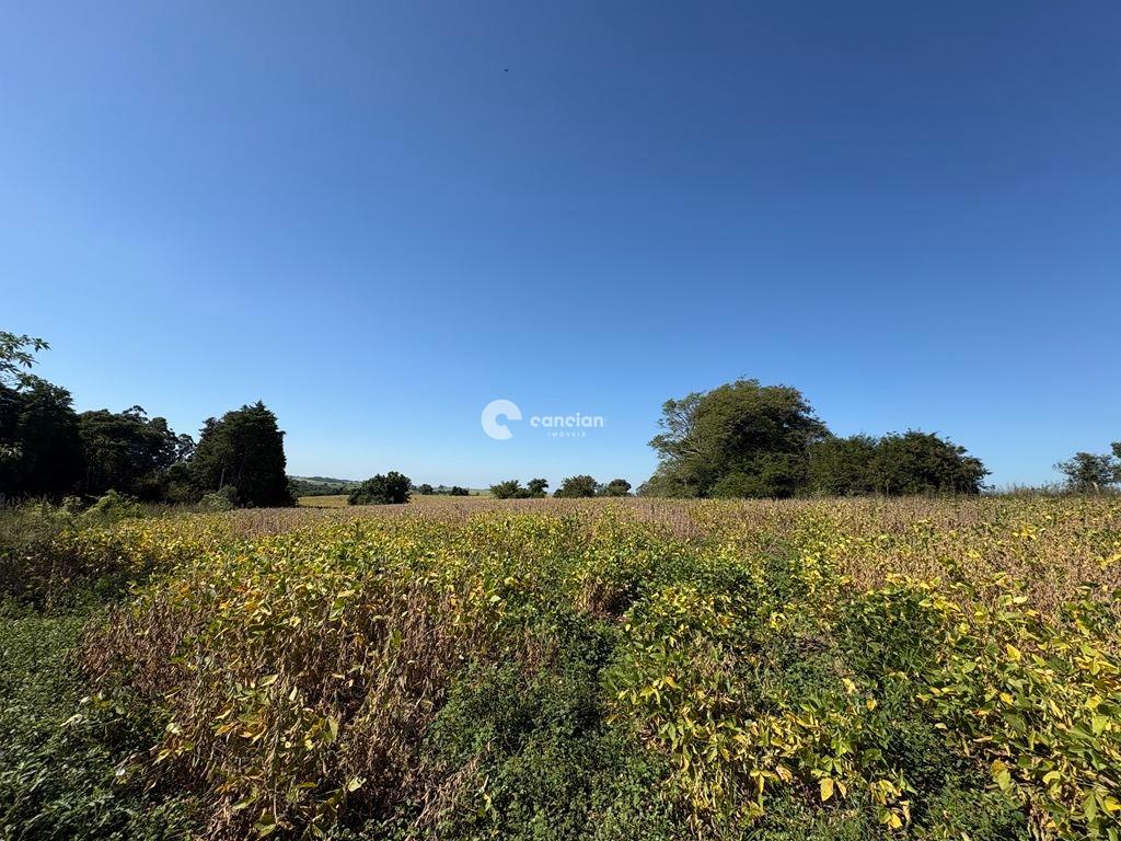 Área Rural à venda no Rural: 