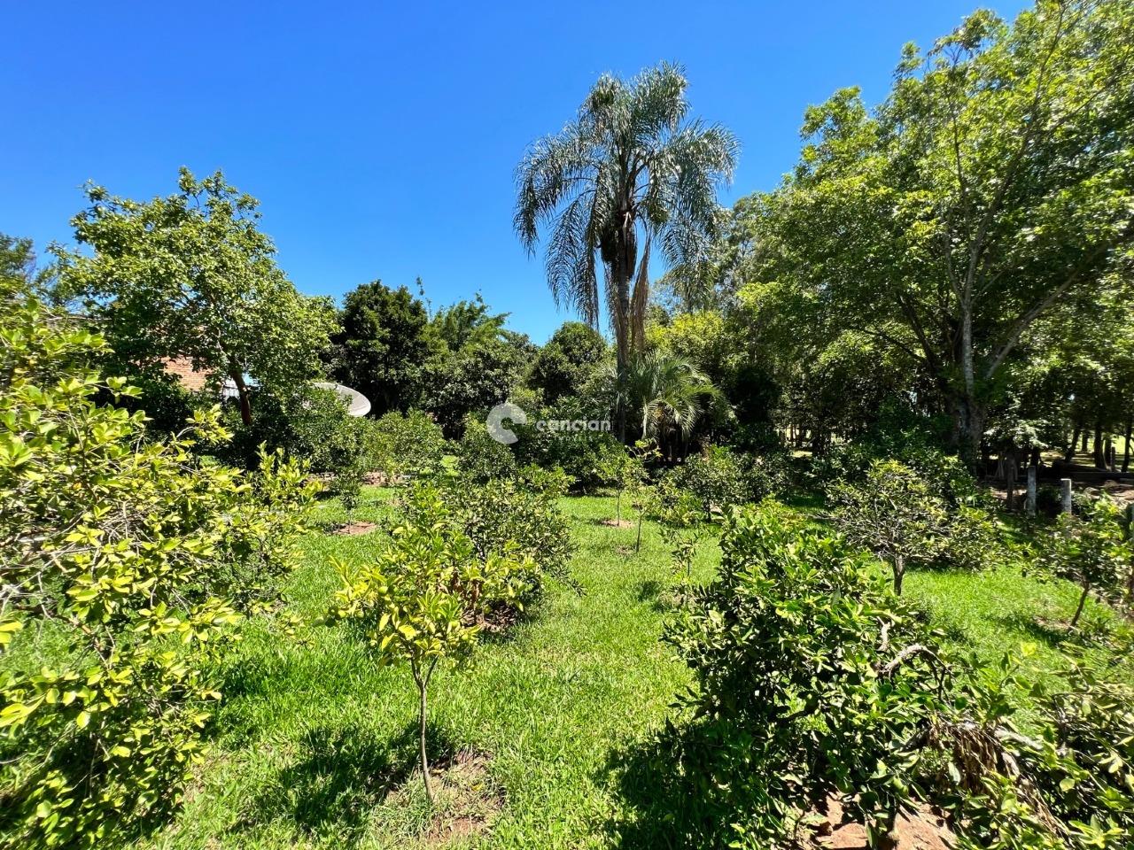 Sítio à venda no Passo das Tropas: 