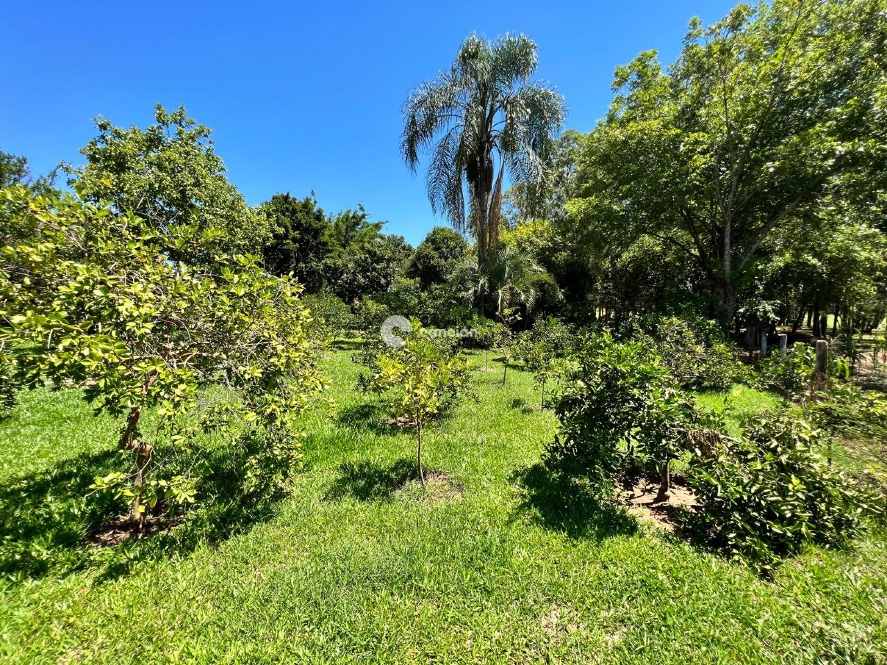 Sítio à venda no Passo das Tropas: 