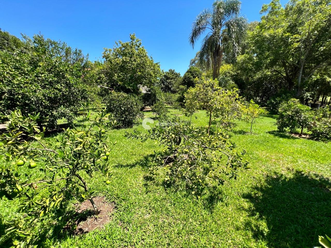 Sítio à venda no Passo das Tropas: 