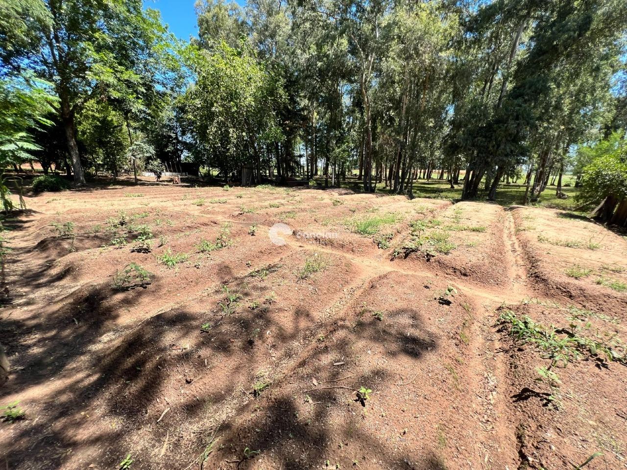 Sítio à venda no Passo das Tropas: 