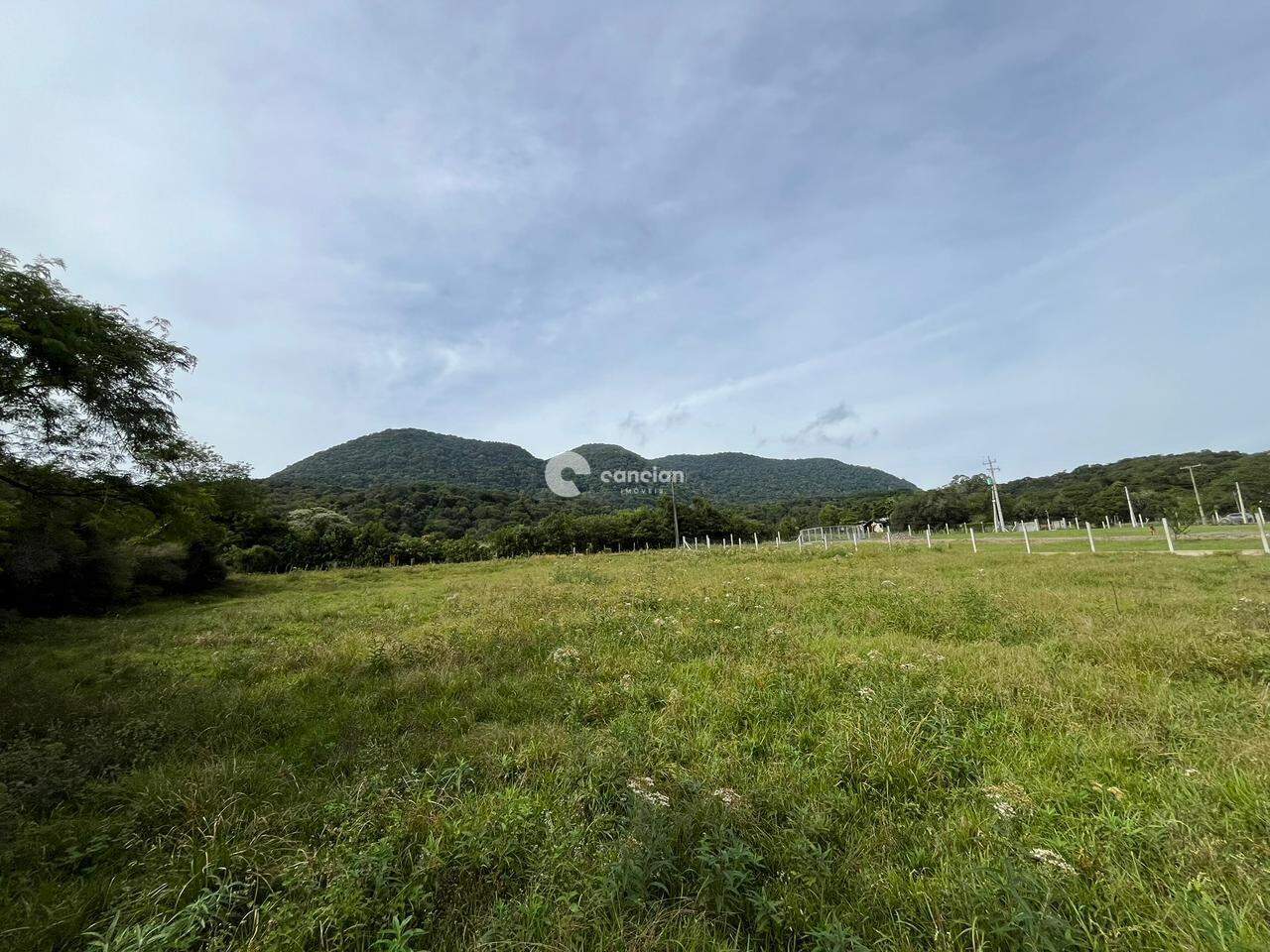 Terreno à venda no Silveira Martins: 