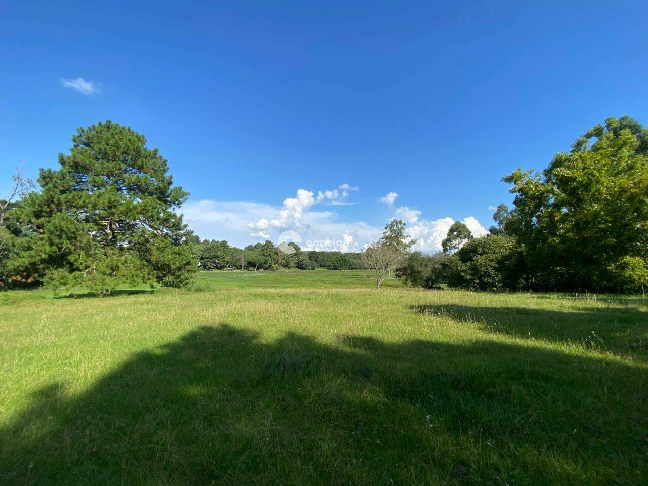 Terreno à venda no Parque Pinhal: 