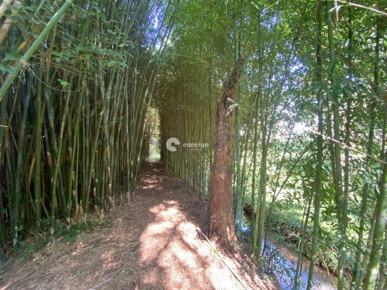 Terreno à venda no Parque Pinhal: 