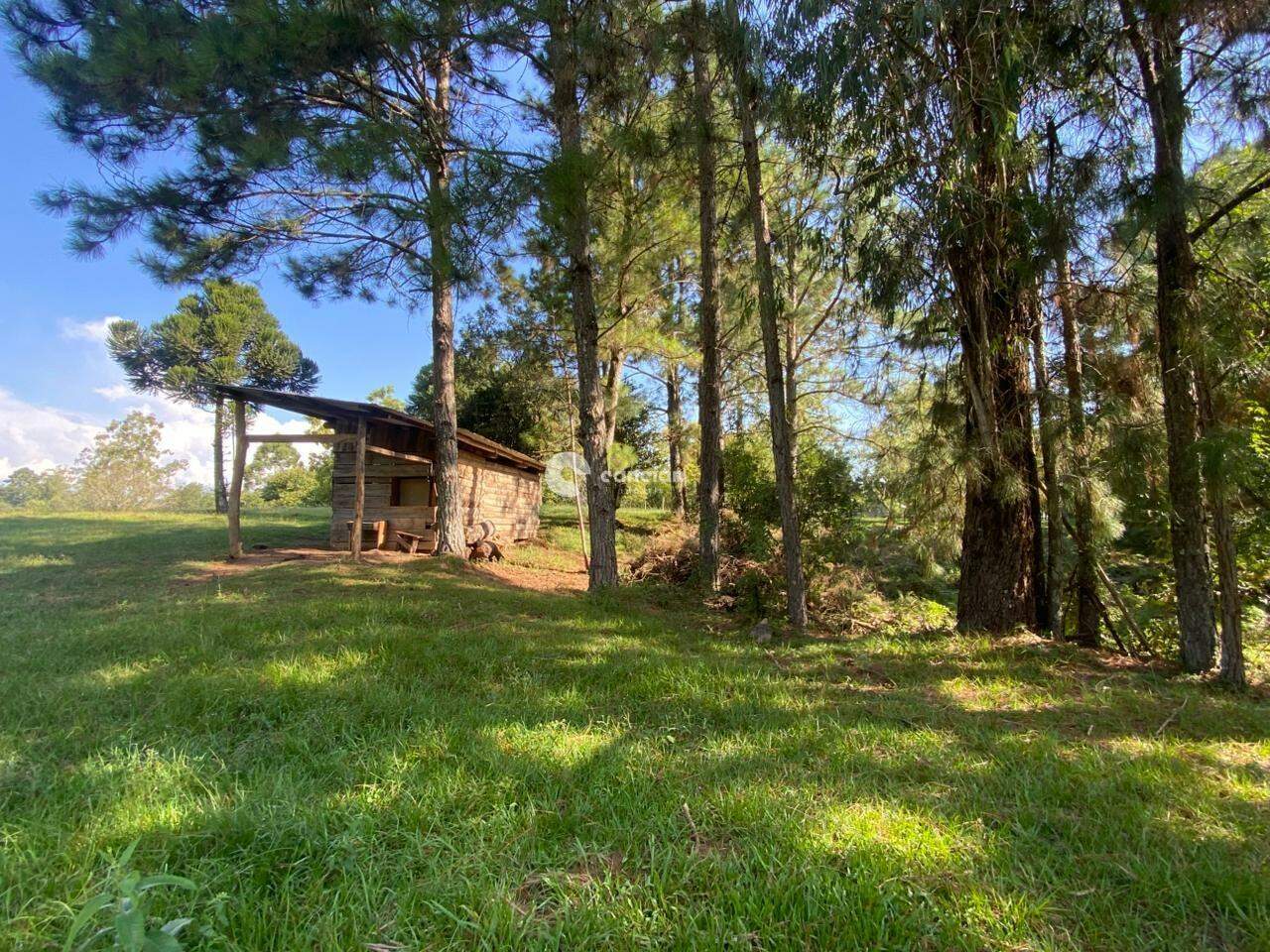 Terreno à venda no Parque Pinhal: 