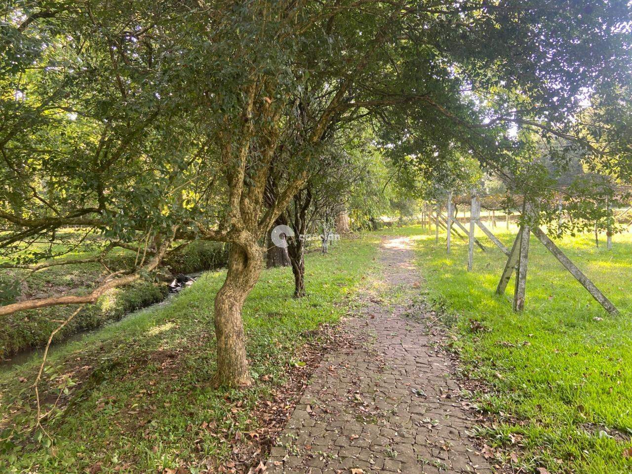 Terreno à venda no Parque Pinhal: 