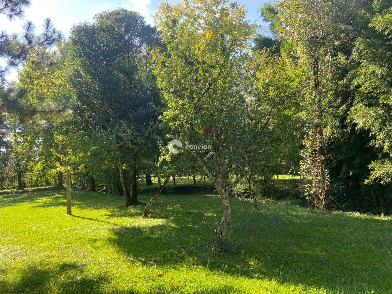 Terreno à venda no Parque Pinhal: 