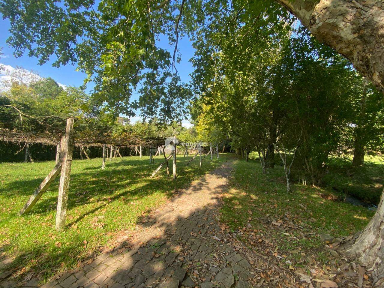 Terreno à venda no Parque Pinhal: 