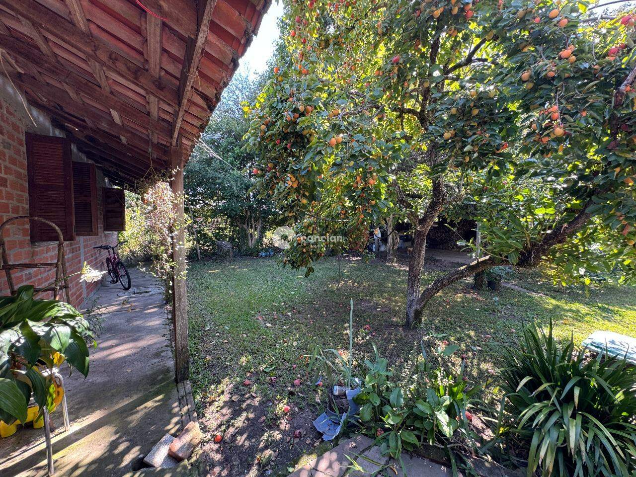 Terreno à venda no Arroio Grande: 