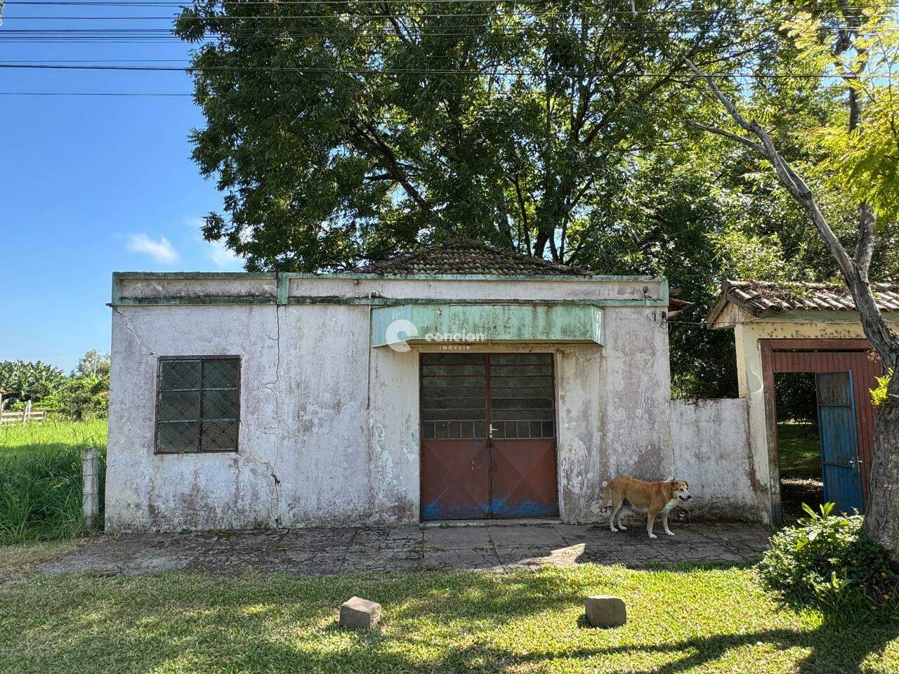 Terreno à venda no Arroio Grande: 