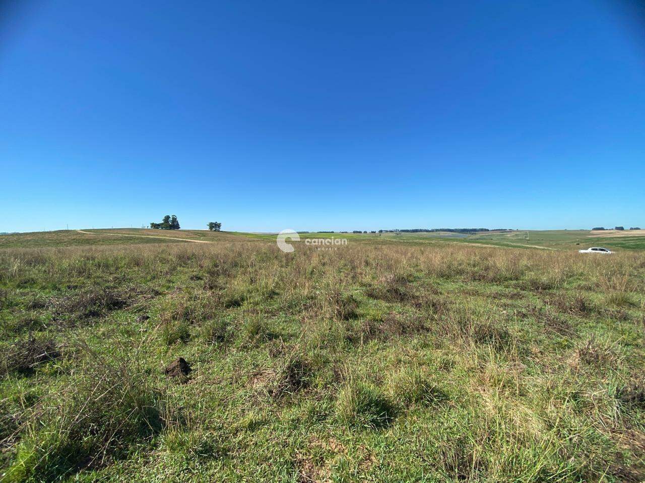 Campo à venda no corredor da balança: 