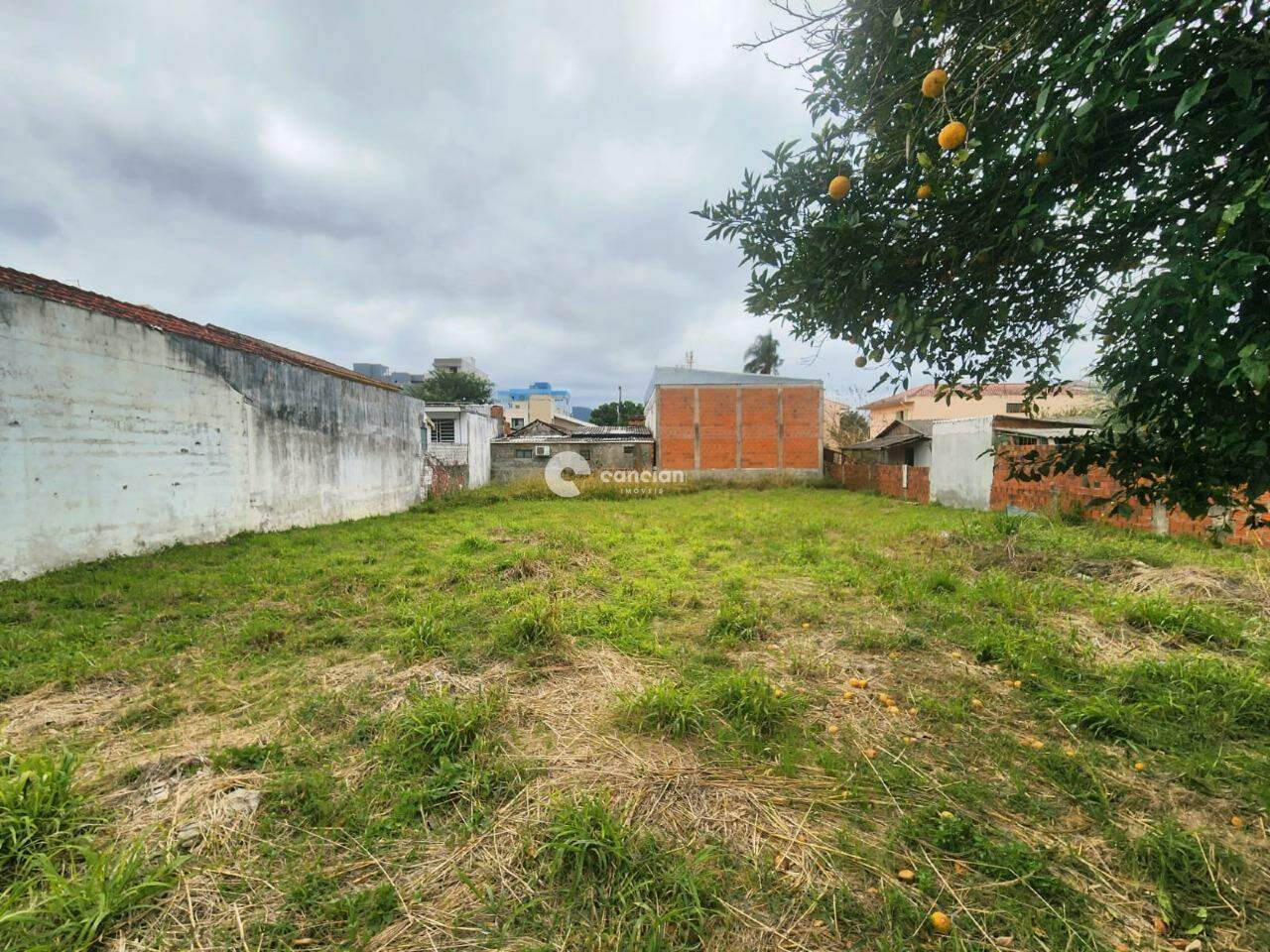 Terreno à venda no Camobi: 