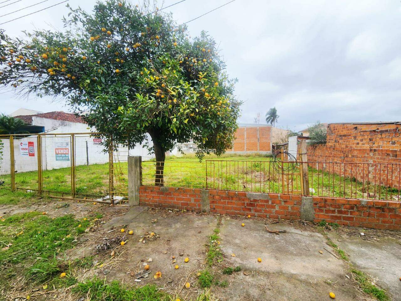 Terreno à venda no Camobi: 