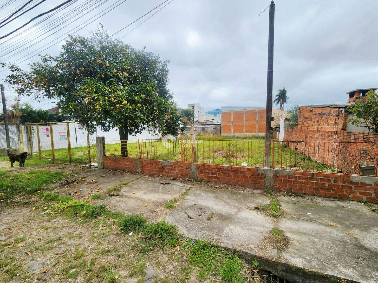 Terreno à venda no Camobi: 