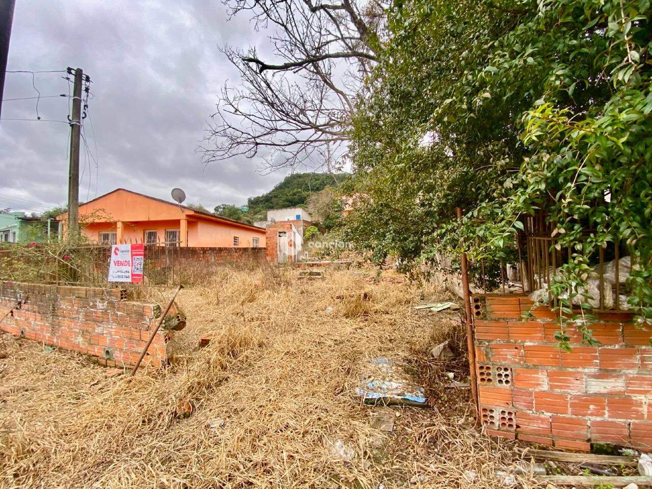 Terreno à venda no Menino Jesus: 