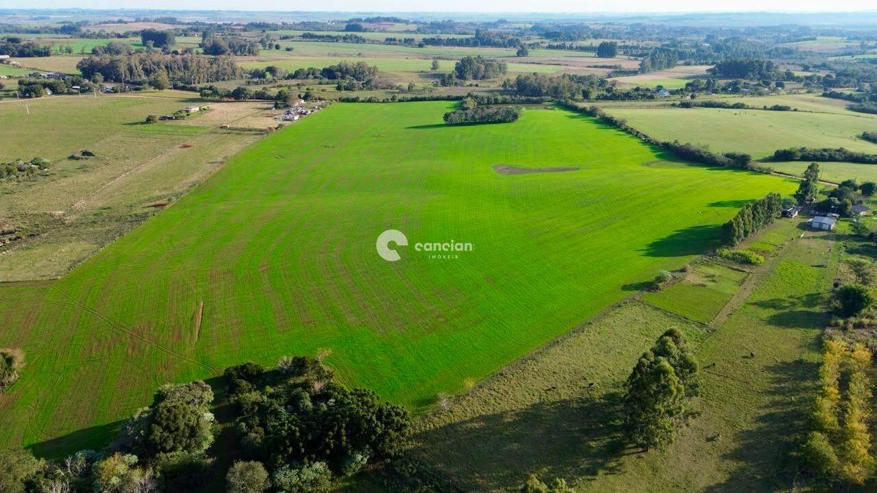 Área Rural à venda no Pains: 
