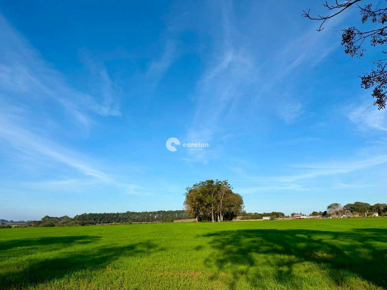 Área Rural à venda no Pains: 