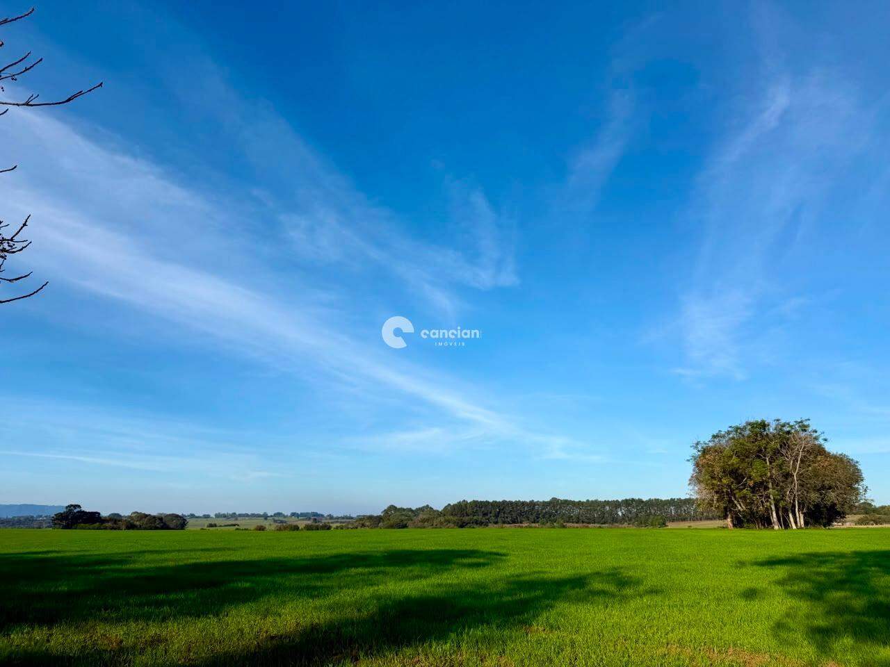 Área Rural à venda no Pains: 