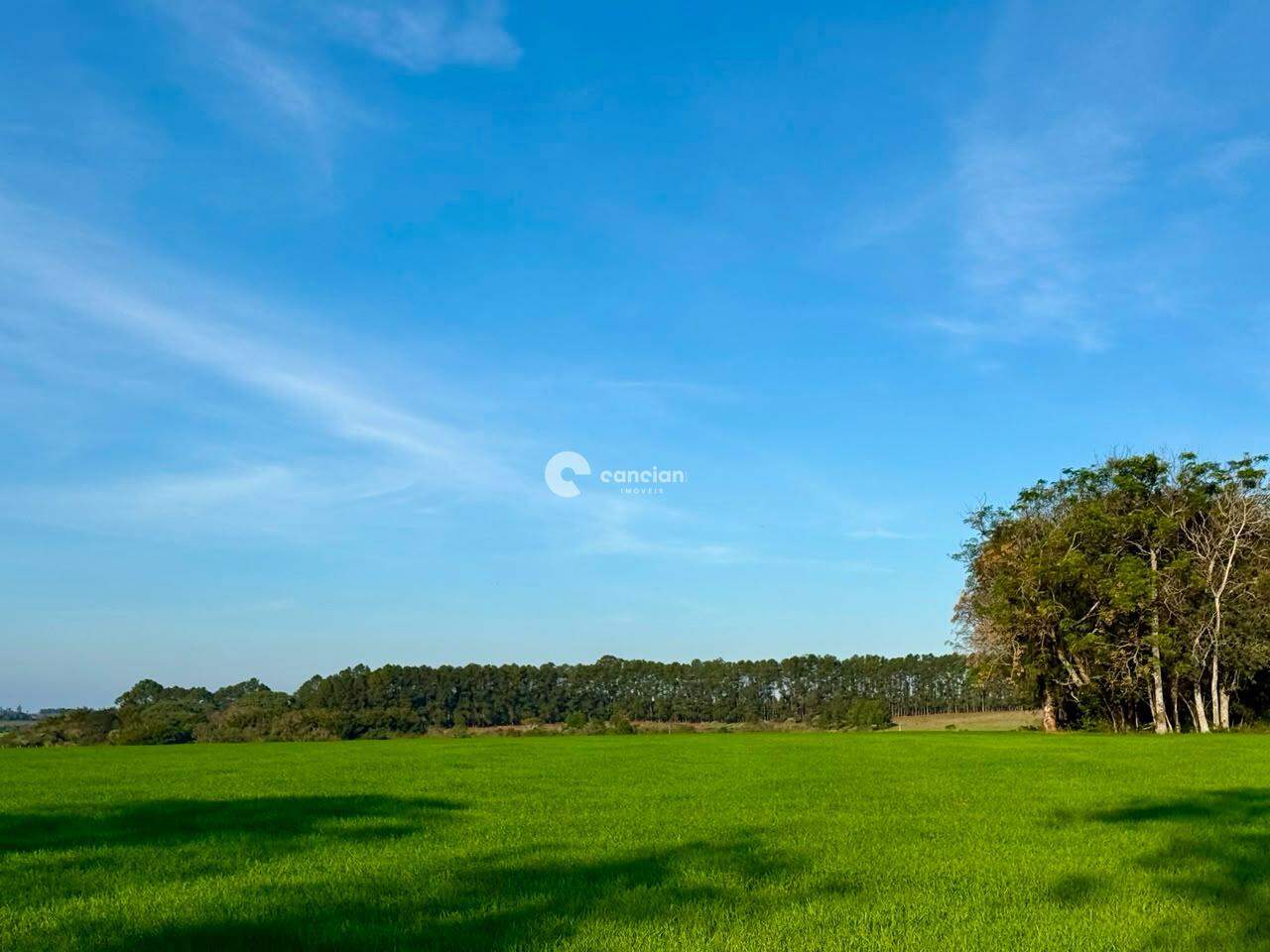 Área Rural à venda no Pains: 
