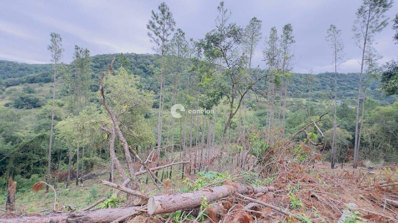 Área Rural à venda no Santo Antão: 