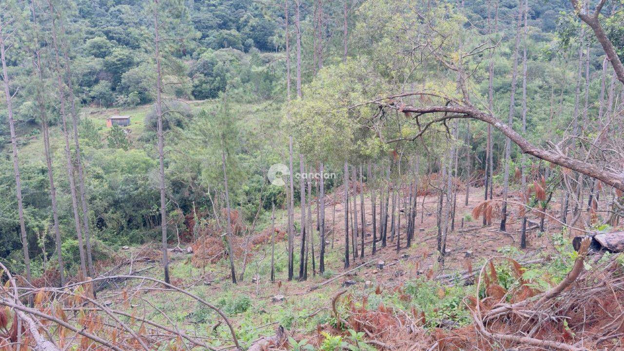 Área Rural à venda no Santo Antão: 