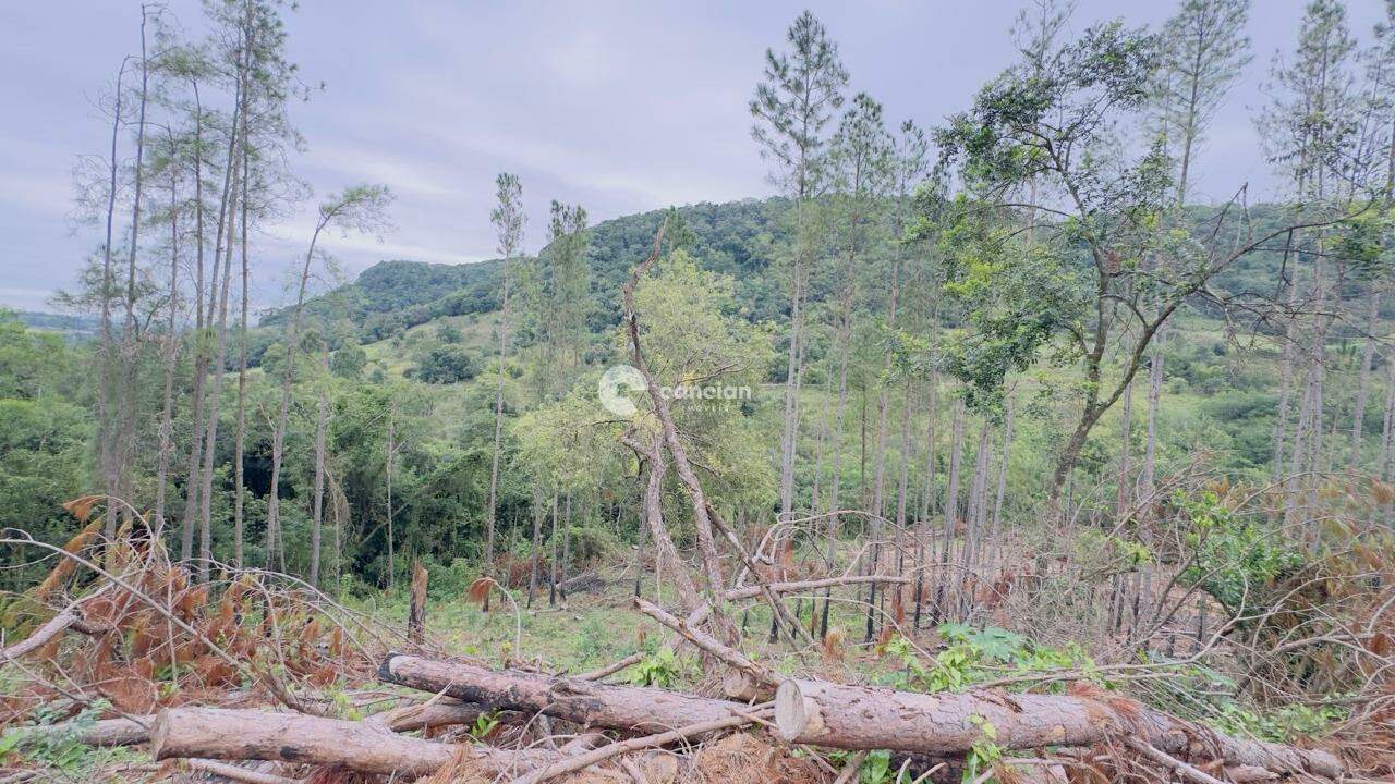 Área Rural à venda no Santo Antão: 