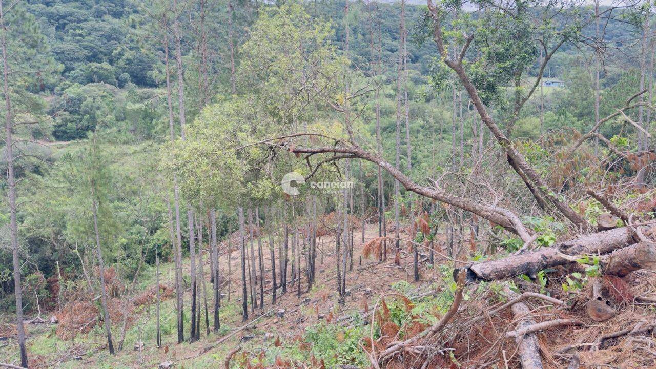 Área Rural à venda no Santo Antão: 