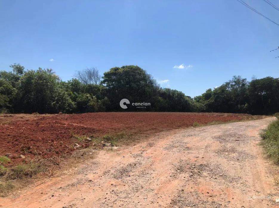 Terreno à venda no Nossa Senhora Medianeira: 