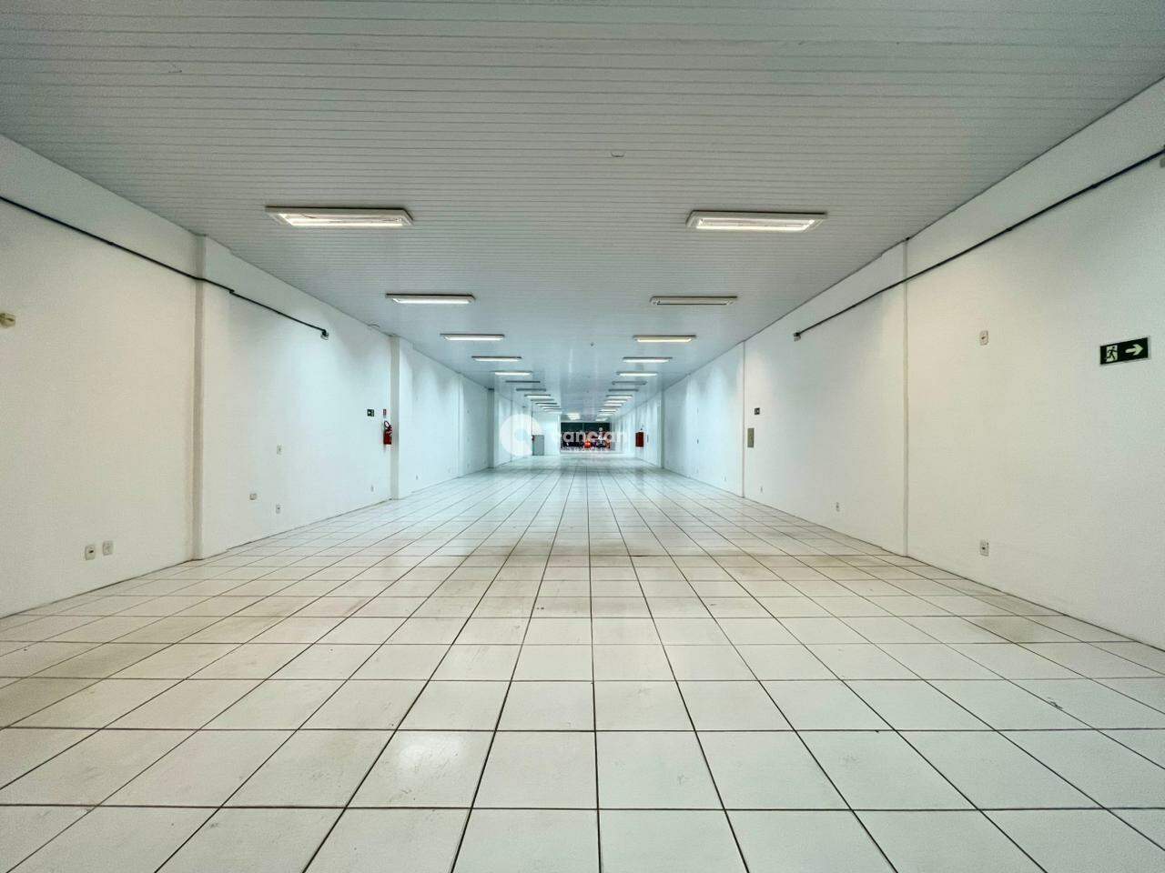 Pavilhão para aluguel no Centro: 