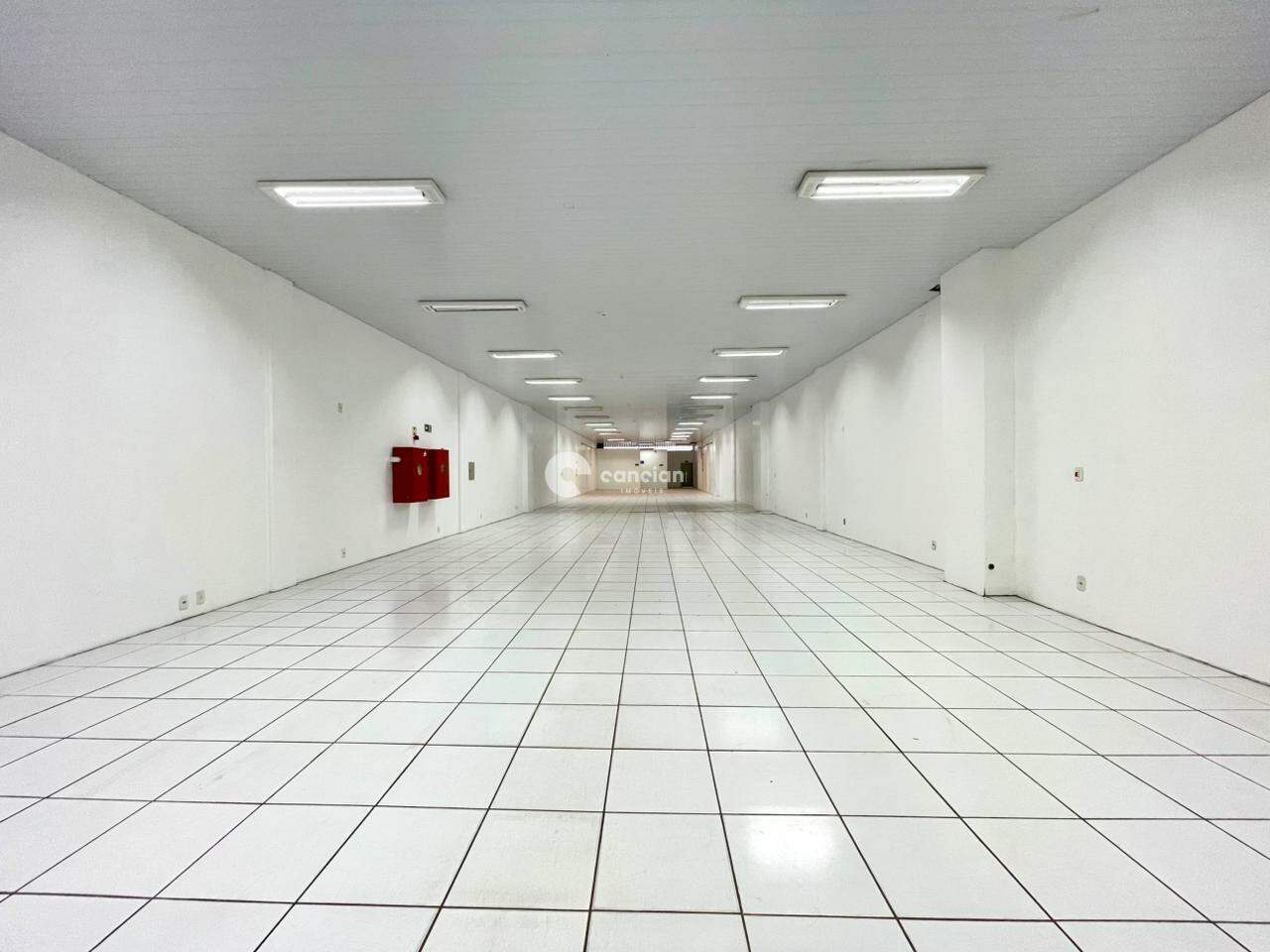 Pavilhão para aluguel no Centro: 