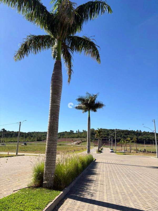 Terreno à venda no Parque Serrano I: 