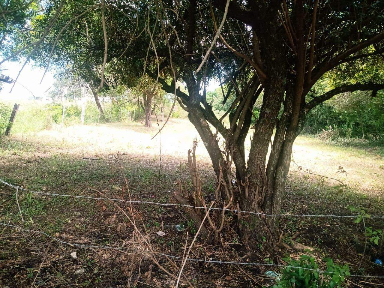 Terreno à venda no Cerrito: 
