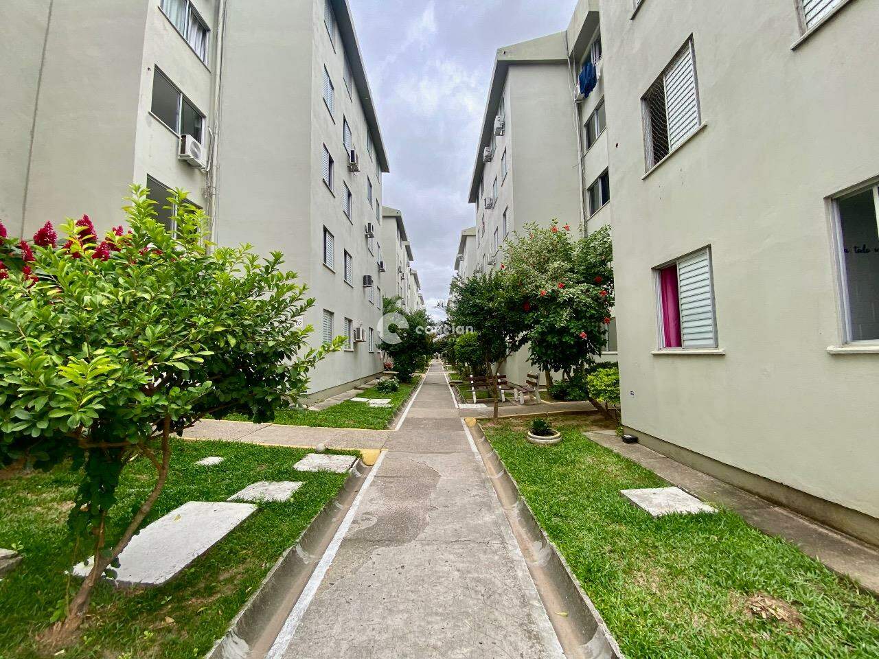 Apartamento à venda no Nossa Senhora Medianeira: 