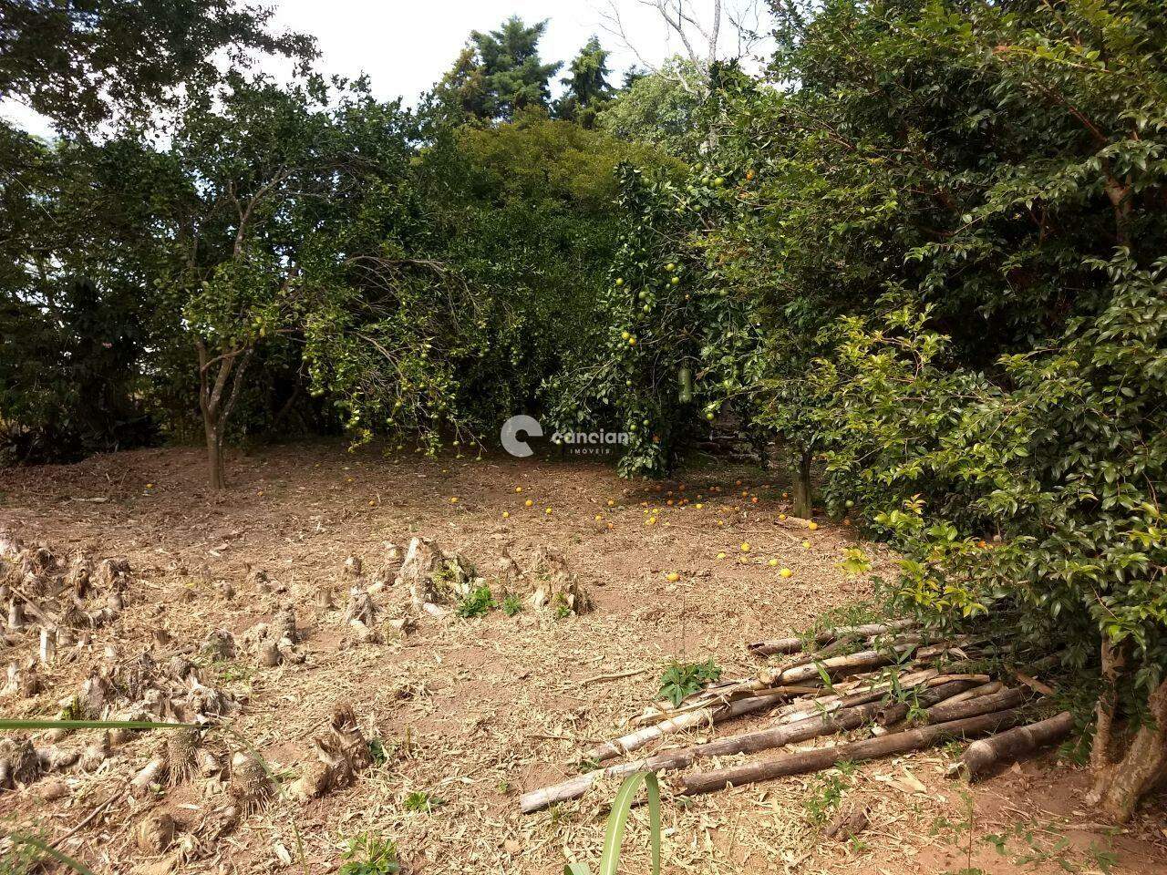 Área Rural à venda no Camobi: 