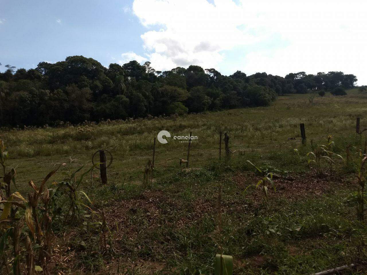 Área Rural à venda no Camobi: 