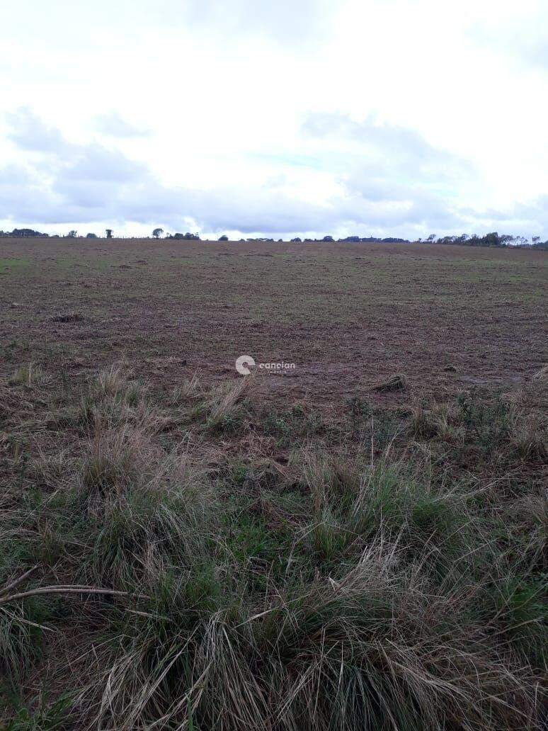 Área Rural à venda no Zona rural: 