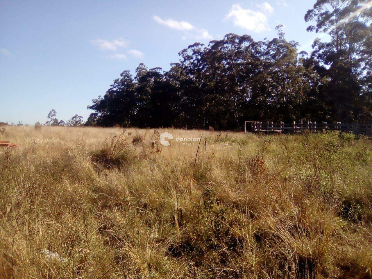 Área Rural à venda no Zona rural: 