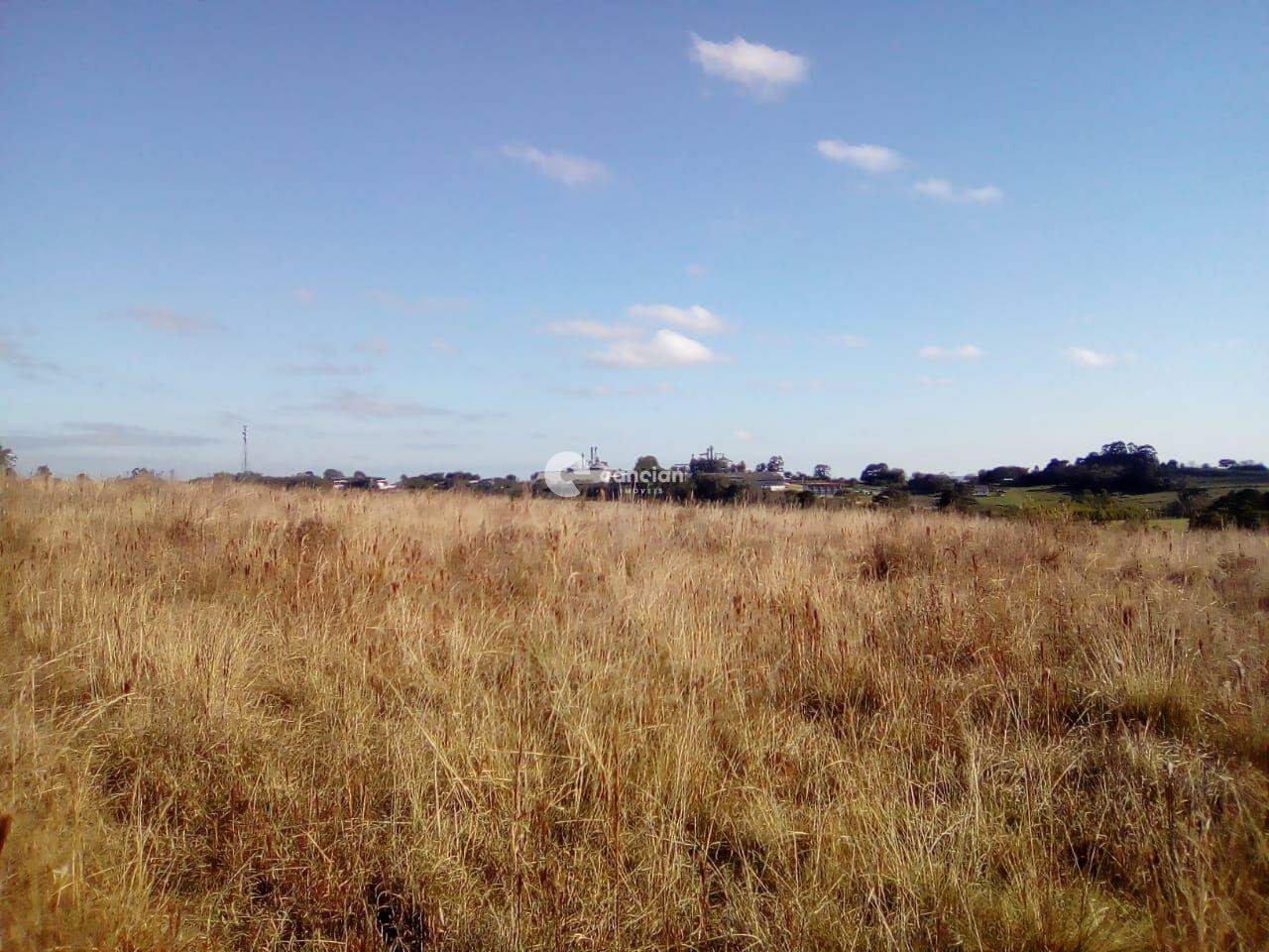 Área Rural à venda no Zona rural: 