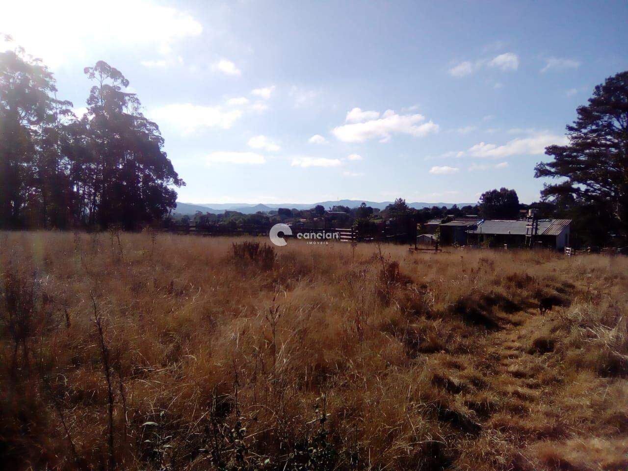 Área Rural à venda no Zona rural: 
