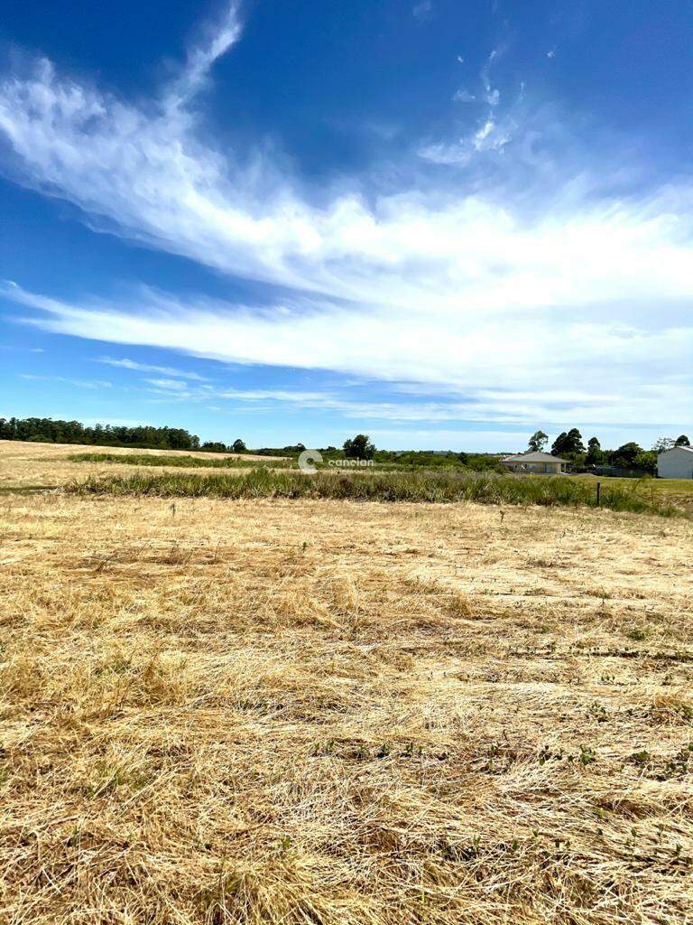 Terreno à venda no Camobi: 