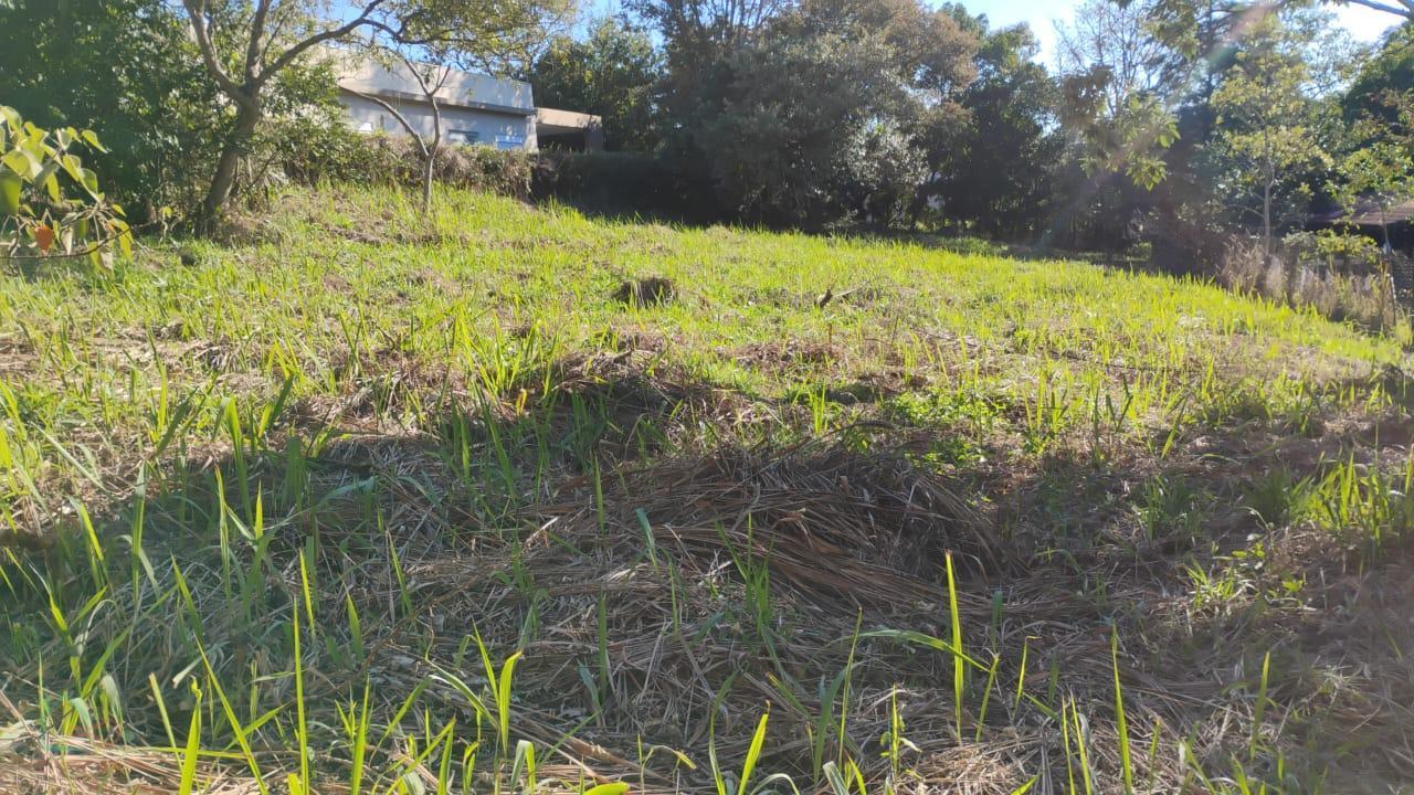 Terreno, 1180 m² - Foto 2