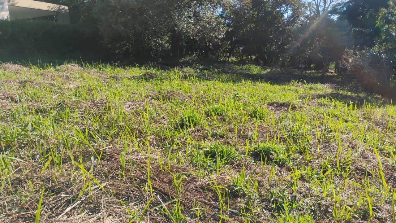 Terreno, 1180 m² - Foto 5