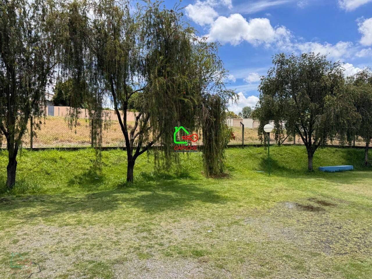 Terreno, 5000 m² - Foto 13