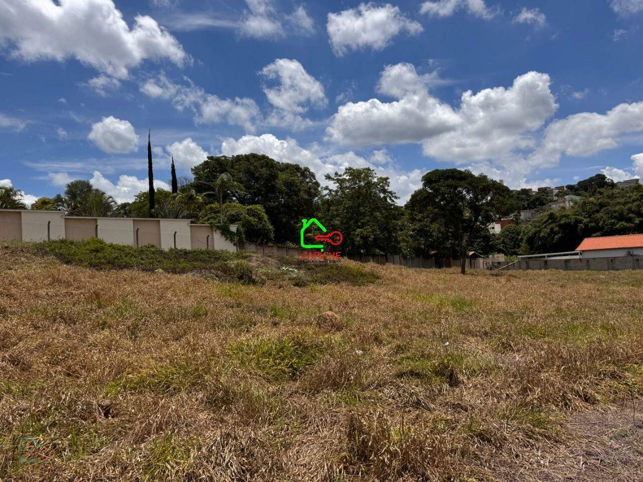 Terreno, 5000 m² - Foto 9