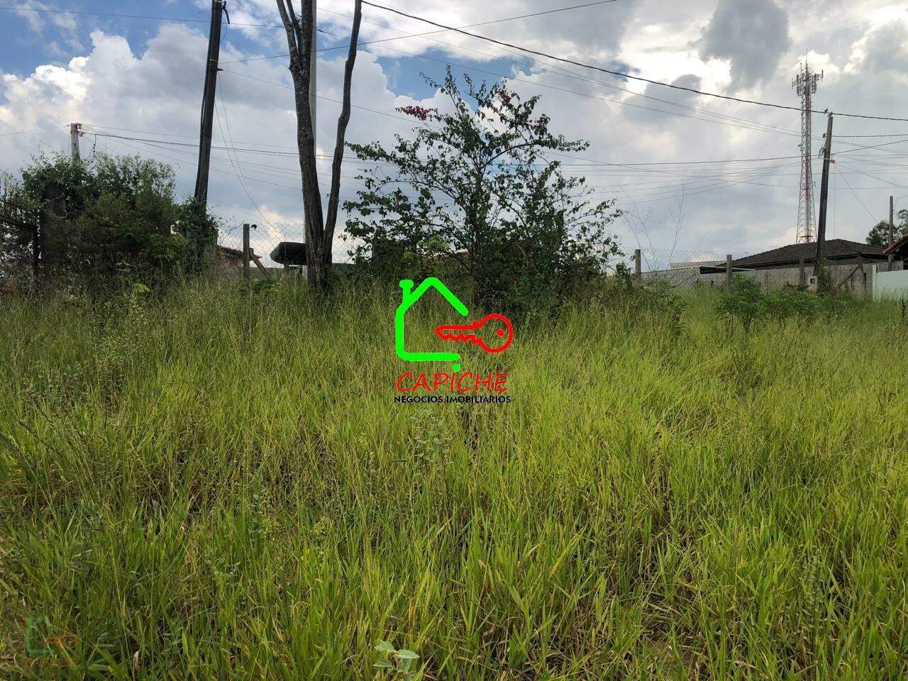 Terreno, 6100 m² - Foto 7