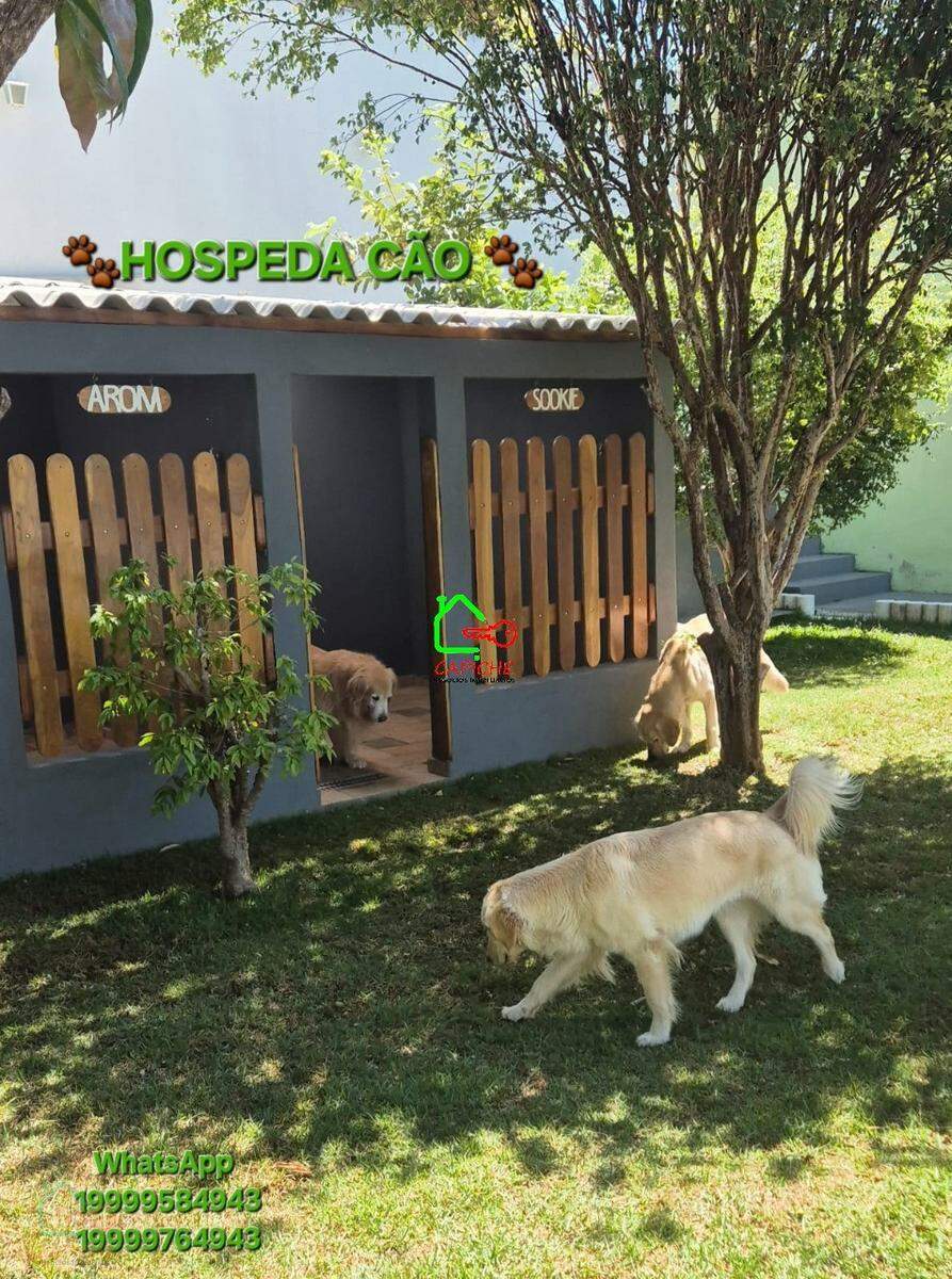 Casa, 2 quartos, 350 m² - Foto 3