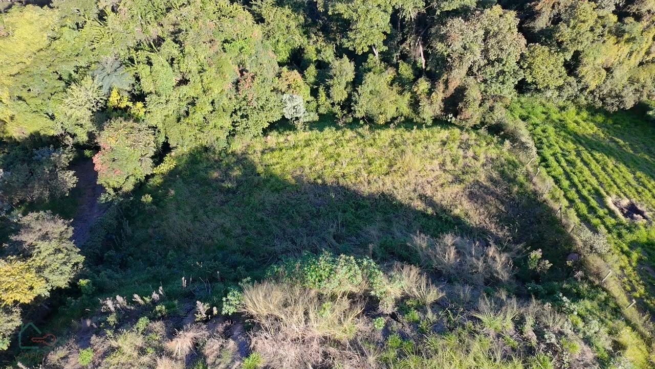 Terreno, 6500 m² - Foto 10