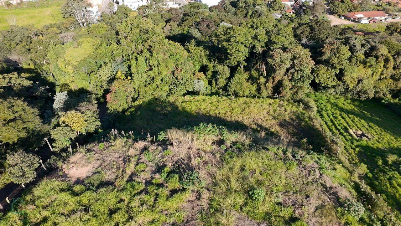 Terreno, 6500 m² - Foto 11