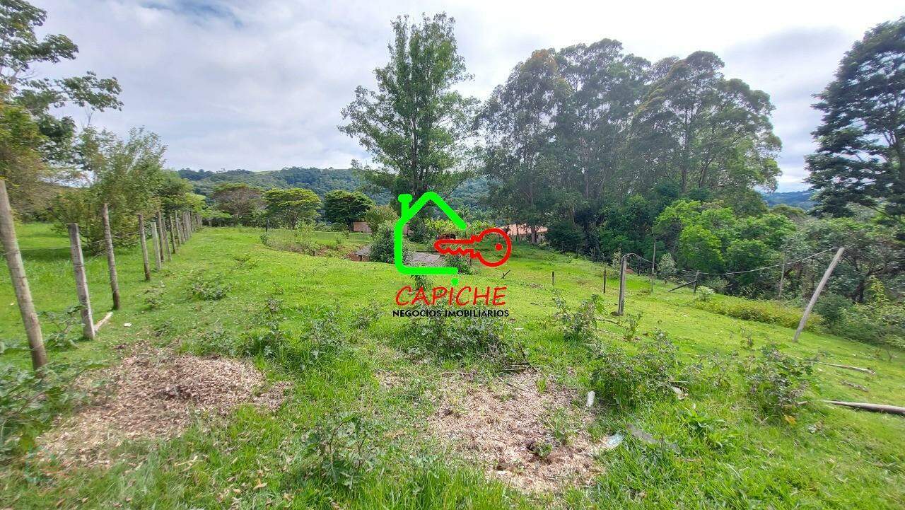Sítio, 3 quartos, 4 hectares - Foto 23